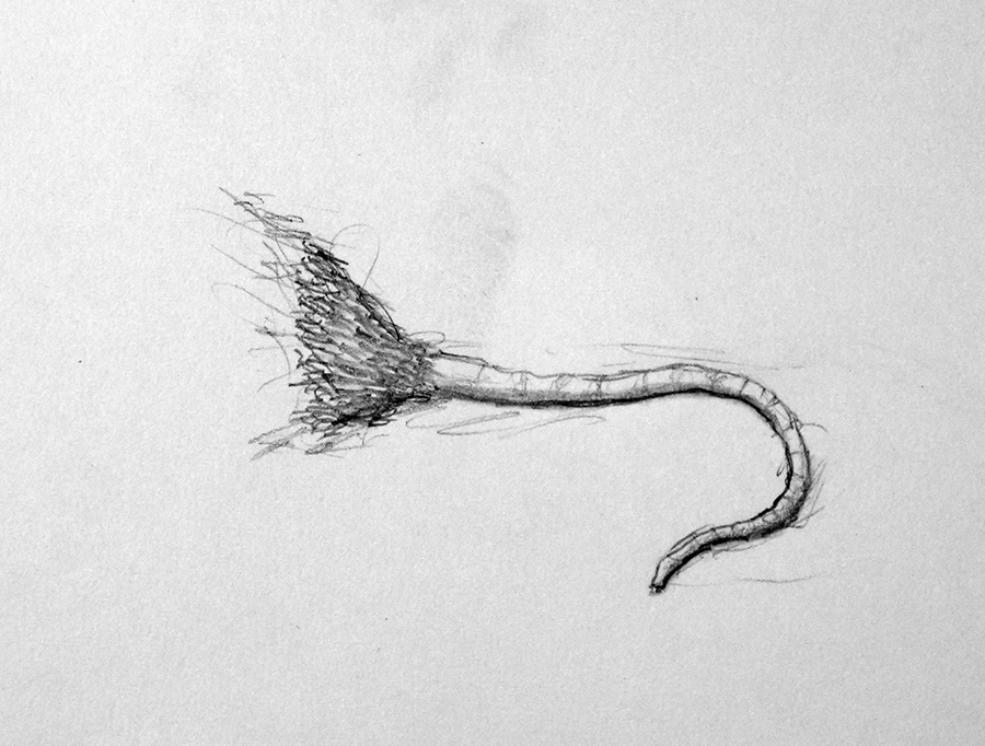 A young woman sitting across from me on a nearly-empty F train catches my attention…