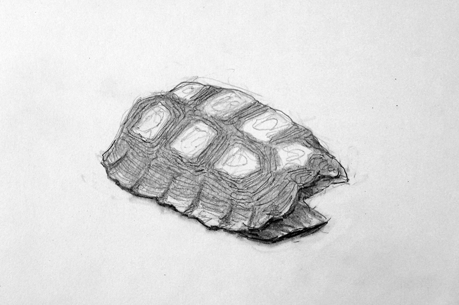 I’m reading on a bench in Sunset Park on a blustery spring&nbsp;day…